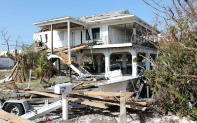 The Unique Challenges of First-Party Property Claims for Fine Art and Collectibles Following Hurricane Ian