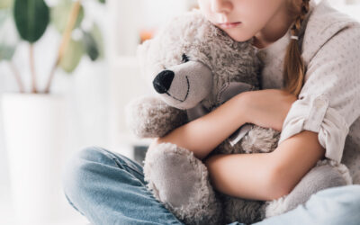 Domestic Violence and Child Custody in Minnesota & Wisconsin
