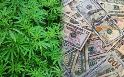 What Investors and Entrepreneurs Should Know About Financing a Minnesota Cannabis Business